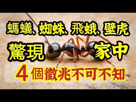 突然出現很多螞蟻|視力突然喪失恐眼中風 常見青光眼、黃斑部水腫併發症